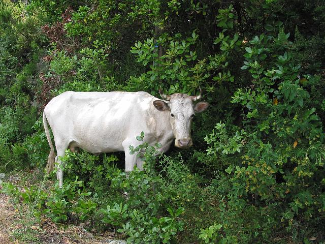 0045 kustweg.JPG